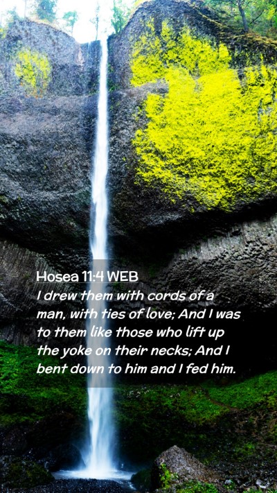 Picture 02 - Hosea 11:4 WEB Mobile Phone Wallpaper - I drew them with cords of a man, with ties of - Mobile Bible Verse Wallpaper