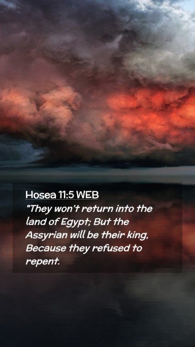 Picture 02 - Hosea 11:5 WEB Mobile Phone Wallpaper - 
