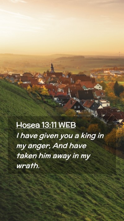 Picture 02 - Hosea 13:11 WEB Mobile Phone Wallpaper - I have given you a king in my anger, And have - Mobile Bible Verse Wallpaper