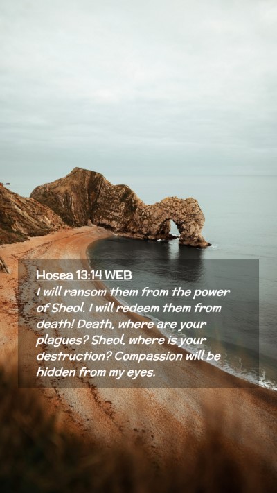 Picture 02 - Hosea 13:14 WEB Mobile Phone Wallpaper - I will ransom them from the power of Sheol. I - Mobile Bible Verse Wallpaper