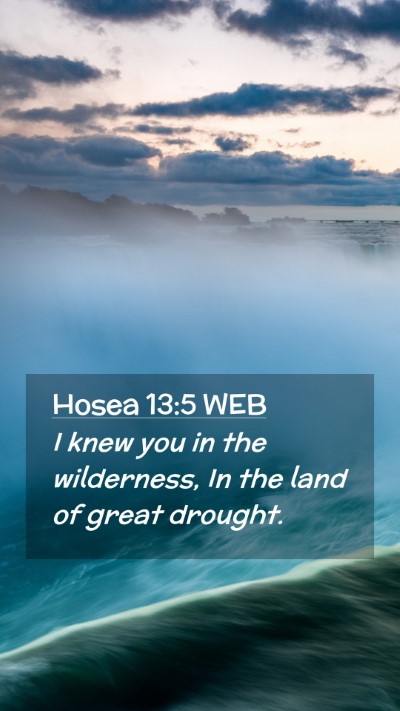 Picture 02 - Hosea 13:5 WEB Mobile Phone Wallpaper - I knew you in the wilderness, In the land of - Mobile Bible Verse Wallpaper