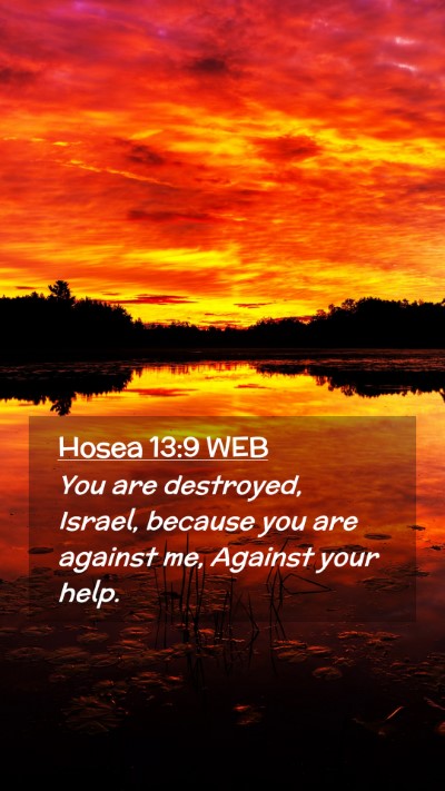 Picture 02 - Hosea 13:9 WEB Mobile Phone Wallpaper - You are destroyed, Israel, because you are - Mobile Bible Verse Wallpaper