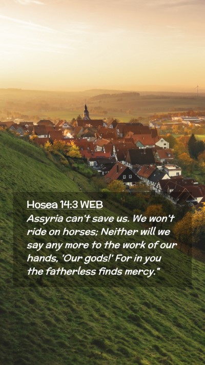 Picture 02 - Hosea 14:3 WEB Mobile Phone Wallpaper - Assyria can't save us. We won't ride on horses; - Mobile Bible Verse Wallpaper