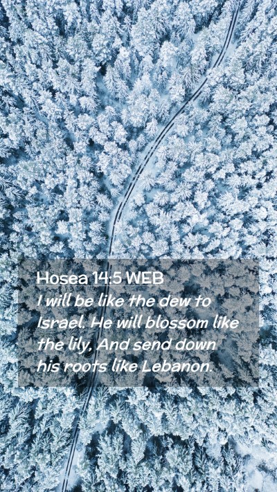 Picture 02 - Hosea 14:5 WEB Mobile Phone Wallpaper - I will be like the dew to Israel. He will blossom - Mobile Bible Verse Wallpaper