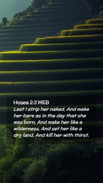 Picture 02 - Hosea 2:3 WEB Mobile Phone Wallpaper - Lest I strip her naked, And make her bare as in - Mobile Bible Verse Wallpaper