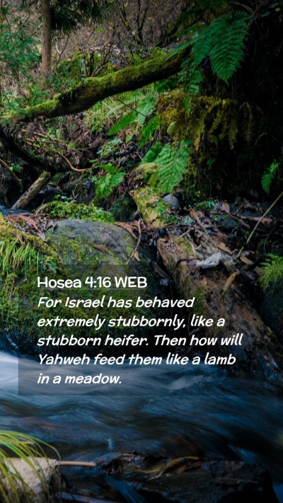 Picture 02 - Hosea 4:16 WEB Mobile Phone Wallpaper - For Israel has behaved extremely stubbornly, like - Mobile Bible Verse Wallpaper
