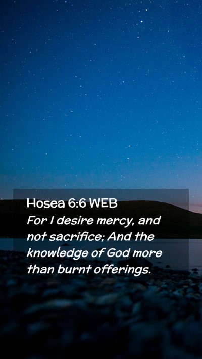 Picture 02 - Hosea 6:6 WEB Mobile Phone Wallpaper - For I desire mercy, and not sacrifice; And the - Mobile Bible Verse Wallpaper