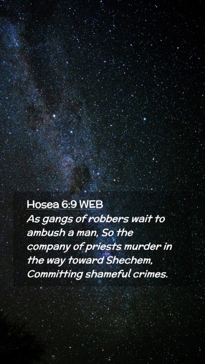 Picture 02 - Hosea 6:9 WEB Mobile Phone Wallpaper - As gangs of robbers wait to ambush a man, So the - Mobile Bible Verse Wallpaper