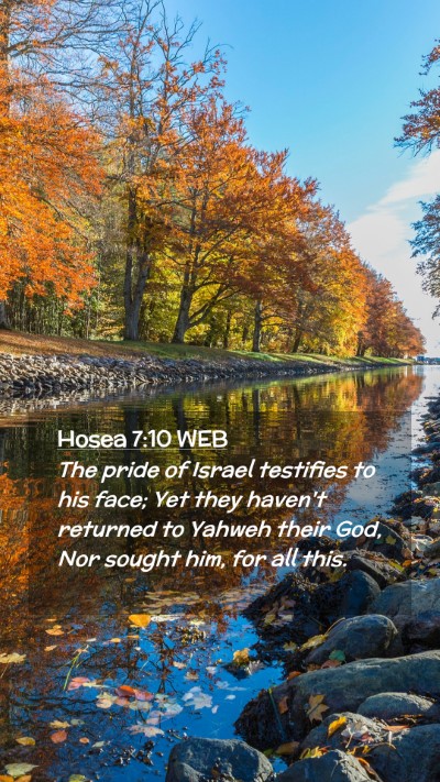 Picture 02 - Hosea 7:10 WEB Mobile Phone Wallpaper - The pride of Israel testifies to his face; Yet - Mobile Bible Verse Wallpaper