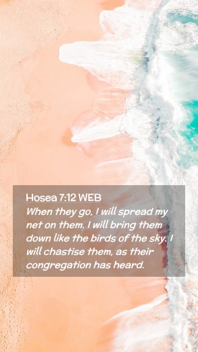Picture 02 - Hosea 7:12 WEB Mobile Phone Wallpaper - When they go, I will spread my net on them. I - Mobile Bible Verse Wallpaper