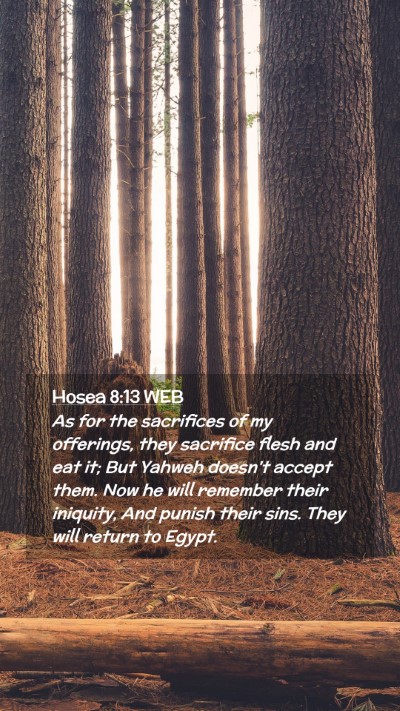 Picture 02 - Hosea 8:13 WEB Mobile Phone Wallpaper - As for the sacrifices of my offerings, they - Mobile Bible Verse Wallpaper