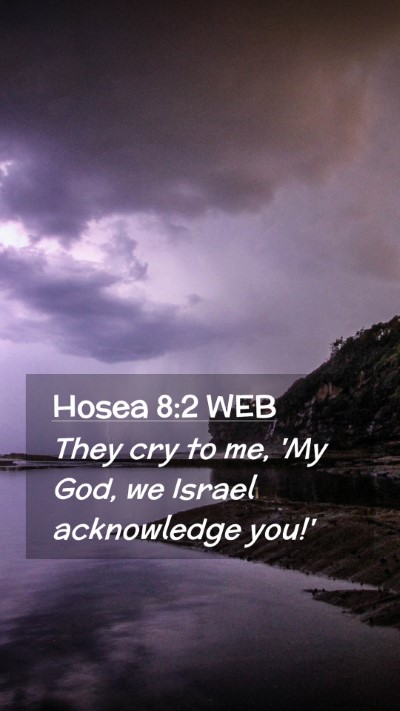 Picture 02 - Hosea 8:2 WEB Mobile Phone Wallpaper - They cry to me, 'My God, we Israel acknowledge - Mobile Bible Verse Wallpaper