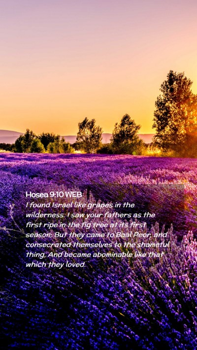 Picture 02 - Hosea 9:10 WEB Mobile Phone Wallpaper - I found Israel like grapes in the wilderness. I - Mobile Bible Verse Wallpaper