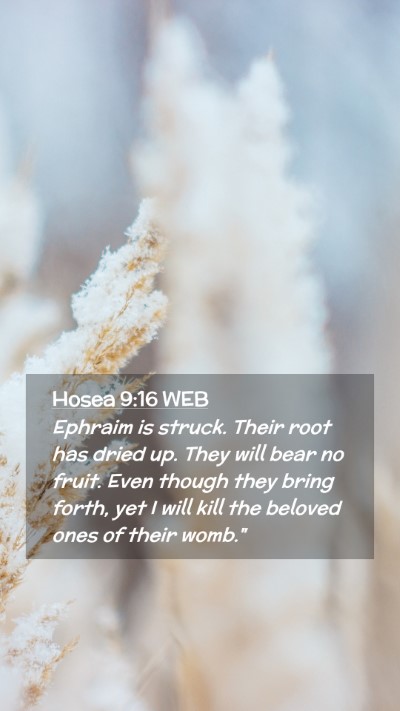 Picture 02 - Hosea 9:16 WEB Mobile Phone Wallpaper - Ephraim is struck. Their root has dried up. They - Mobile Bible Verse Wallpaper