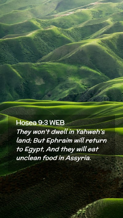 Picture 02 - Hosea 9:3 WEB Mobile Phone Wallpaper - They won't dwell in Yahweh's land; But Ephraim - Mobile Bible Verse Wallpaper