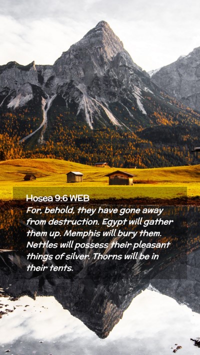Picture 02 - Hosea 9:6 WEB Mobile Phone Wallpaper - For, behold, they have gone away from - Mobile Bible Verse Wallpaper
