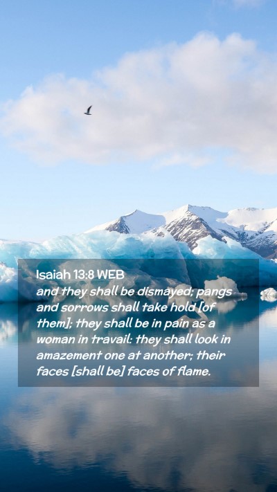 Picture 02 - Isaiah 13:8 WEB Mobile Phone Wallpaper - and they shall be dismayed; pangs and sorrows - Mobile Bible Verse Wallpaper