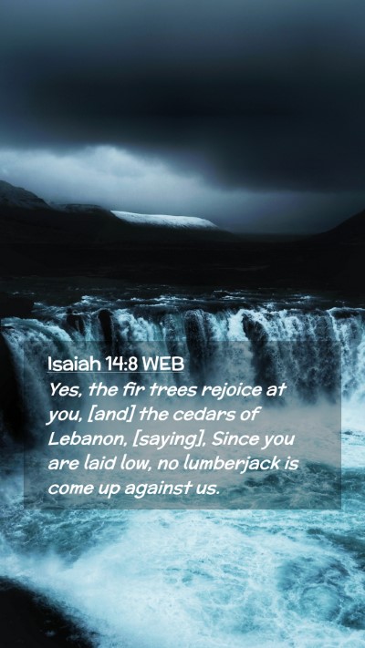 Picture 02 - Isaiah 14:8 WEB Mobile Phone Wallpaper - Yes, the fir trees rejoice at you, [and] the - Mobile Bible Verse Wallpaper
