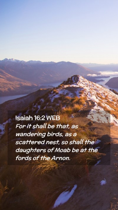 Picture 02 - Isaiah 16:2 WEB Mobile Phone Wallpaper - For it shall be that, as wandering birds, as a - Mobile Bible Verse Wallpaper
