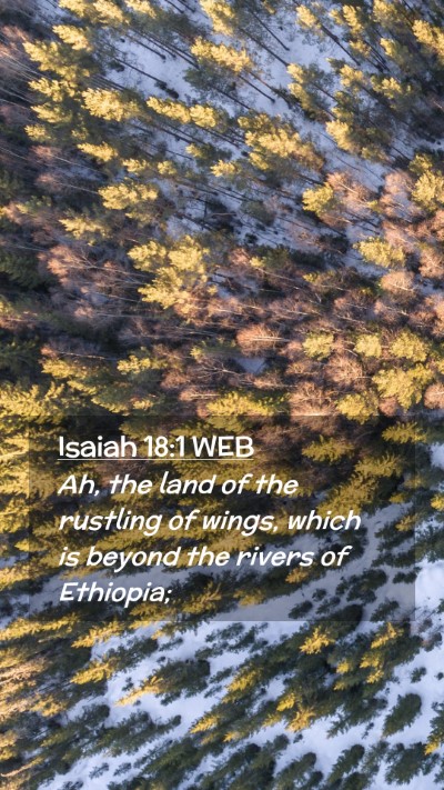Picture 02 - Isaiah 18:1 WEB Mobile Phone Wallpaper - Ah, the land of the rustling of wings, which is - Mobile Bible Verse Wallpaper