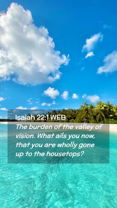 Picture 02 - Isaiah 22:1 WEB Mobile Phone Wallpaper - The burden of the valley of vision. What ails you - Mobile Bible Verse Wallpaper