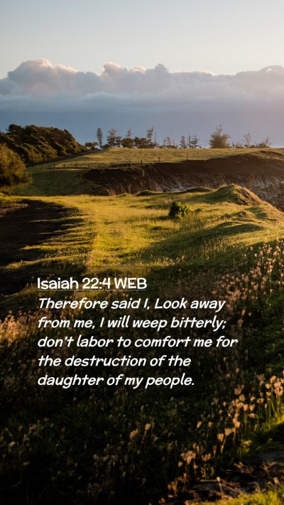 Picture 02 - Isaiah 22:4 WEB Mobile Phone Wallpaper - Therefore said I, Look away from me, I will weep - Mobile Bible Verse Wallpaper