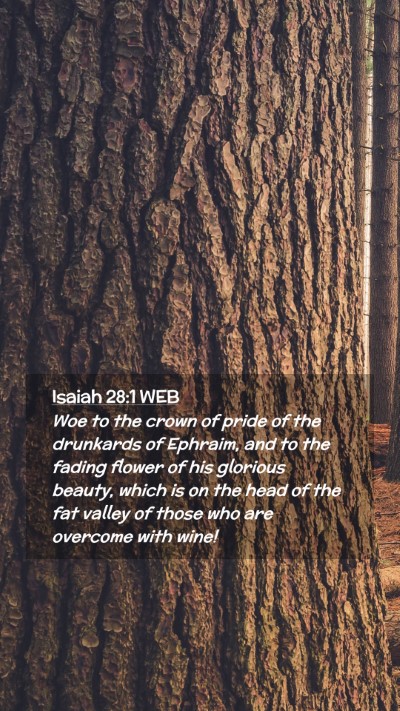 Picture 02 - Isaiah 28:1 WEB Mobile Phone Wallpaper - Woe to the crown of pride of the drunkards of - Mobile Bible Verse Wallpaper