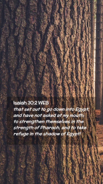 Picture 02 - Isaiah 30:2 WEB Mobile Phone Wallpaper - that set out to go down into Egypt, and have not - Mobile Bible Verse Wallpaper