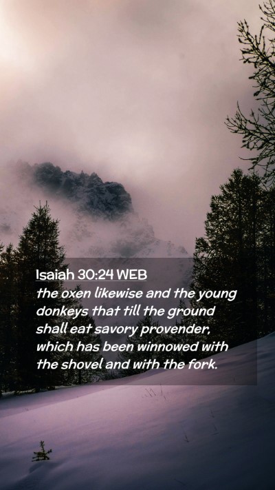 Picture 02 - Isaiah 30:24 WEB Mobile Phone Wallpaper - the oxen likewise and the young donkeys that till - Mobile Bible Verse Wallpaper