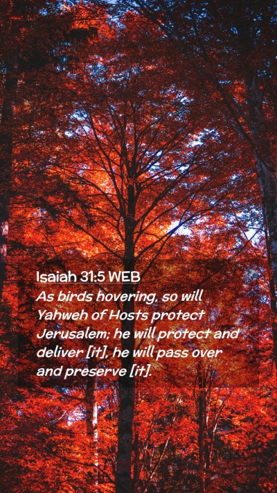 Picture 02 - Isaiah 31:5 WEB Mobile Phone Wallpaper - As birds hovering, so will Yahweh of Hosts - Mobile Bible Verse Wallpaper