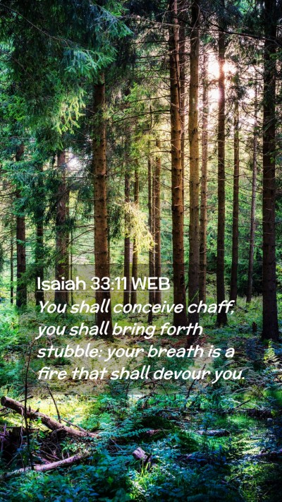 Picture 02 - Isaiah 33:11 WEB Mobile Phone Wallpaper - You shall conceive chaff, you shall bring forth - Mobile Bible Verse Wallpaper