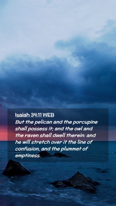 Picture 02 - Isaiah 34:11 WEB Mobile Phone Wallpaper - But the pelican and the porcupine shall possess - Mobile Bible Verse Wallpaper