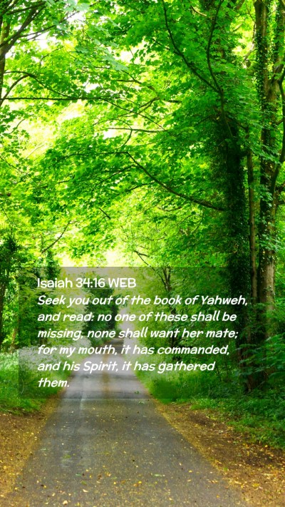Picture 02 - Isaiah 34:16 WEB Mobile Phone Wallpaper - Seek you out of the book of Yahweh, and read: no - Mobile Bible Verse Wallpaper