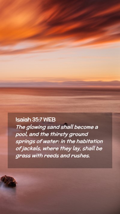Picture 02 - Isaiah 35:7 WEB Mobile Phone Wallpaper - The glowing sand shall become a pool, and the - Mobile Bible Verse Wallpaper