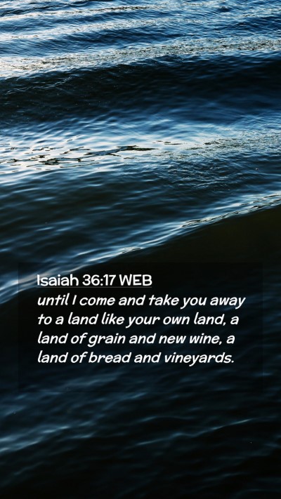 Picture 02 - Isaiah 36:17 WEB Mobile Phone Wallpaper - until I come and take you away to a land like - Mobile Bible Verse Wallpaper