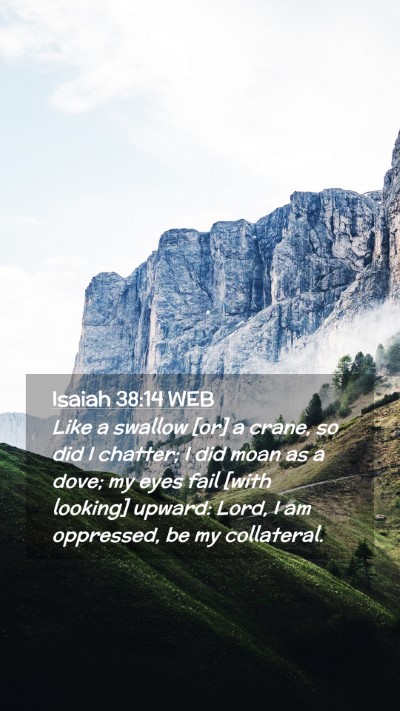 Picture 02 - Isaiah 38:14 WEB Mobile Phone Wallpaper - Like a swallow [or] a crane, so did I chatter; I - Mobile Bible Verse Wallpaper