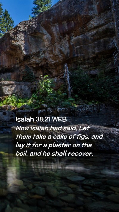 Picture 02 - Isaiah 38:21 WEB Mobile Phone Wallpaper - Now Isaiah had said, Let them take a cake of - Mobile Bible Verse Wallpaper