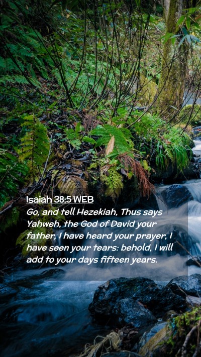 Picture 02 - Isaiah 38:5 WEB Mobile Phone Wallpaper - Go, and tell Hezekiah, Thus says Yahweh, the God - Mobile Bible Verse Wallpaper