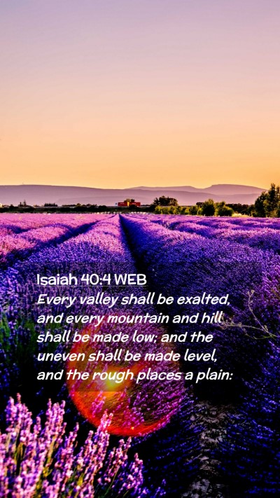 Picture 02 - Isaiah 40:4 WEB Mobile Phone Wallpaper - Every valley shall be exalted, and every mountain - Mobile Bible Verse Wallpaper