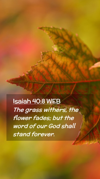 Picture 02 - Isaiah 40:8 WEB Mobile Phone Wallpaper - The grass withers, the flower fades; but the word - Mobile Bible Verse Wallpaper