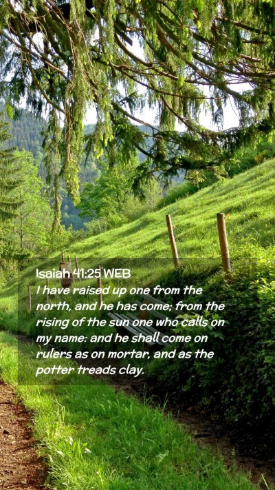 Picture 02 - Isaiah 41:25 WEB Mobile Phone Wallpaper - I have raised up one from the north, and he has - Mobile Bible Verse Wallpaper