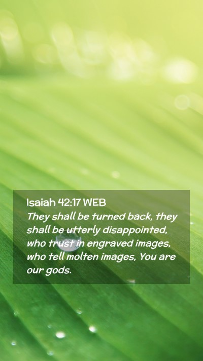 Picture 02 - Isaiah 42:17 WEB Mobile Phone Wallpaper - They shall be turned back, they shall be utterly - Mobile Bible Verse Wallpaper