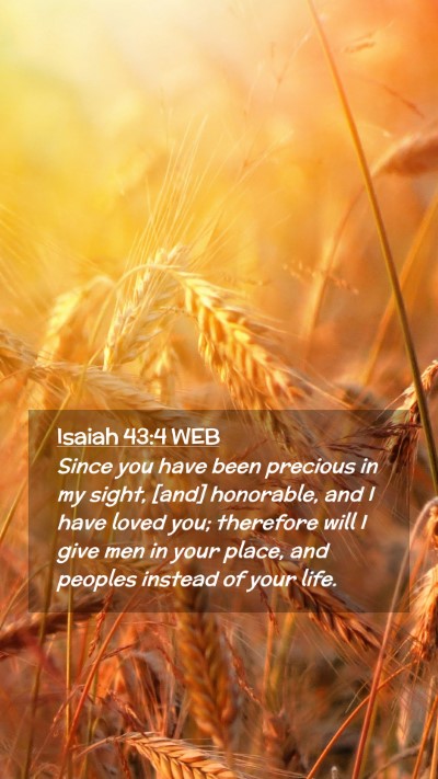 Picture 02 - Isaiah 43:4 WEB Mobile Phone Wallpaper - Since you have been precious in my sight, [and] - Mobile Bible Verse Wallpaper