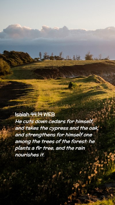 Picture 02 - Isaiah 44:14 WEB Mobile Phone Wallpaper - He cuts down cedars for himself, and takes the - Mobile Bible Verse Wallpaper
