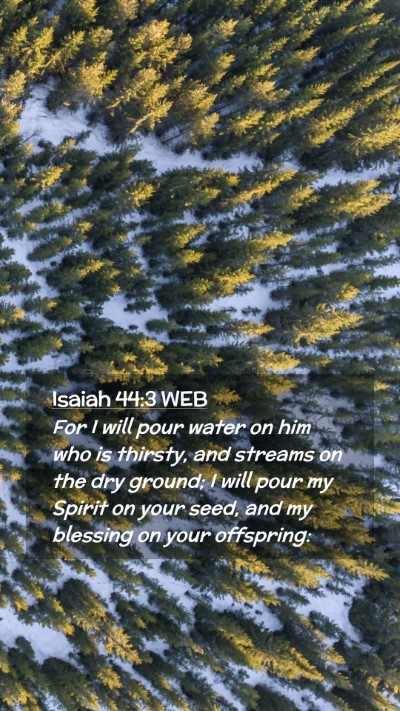 Picture 02 - Isaiah 44:3 WEB Mobile Phone Wallpaper - For I will pour water on him who is thirsty, and - Mobile Bible Verse Wallpaper