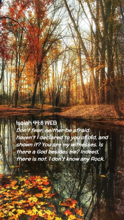 Picture 02 - Isaiah 44:8 WEB Mobile Phone Wallpaper - Don't fear, neither be afraid: haven't I declared - Mobile Bible Verse Wallpaper