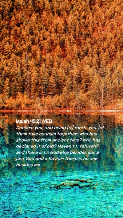 Picture 02 - Isaiah 45:21 WEB Mobile Phone Wallpaper - Declare you, and bring [it] forth; yes, let them - Mobile Bible Verse Wallpaper