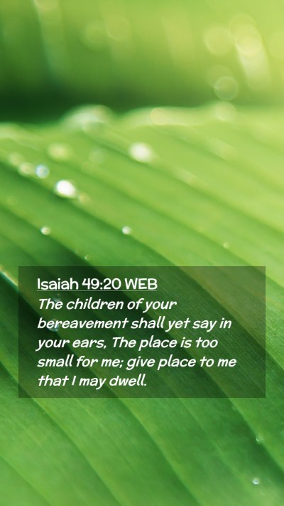 Picture 02 - Isaiah 49:20 WEB Mobile Phone Wallpaper - The children of your bereavement shall yet say in - Mobile Bible Verse Wallpaper