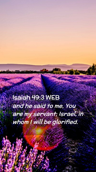 Picture 02 - Isaiah 49:3 WEB Mobile Phone Wallpaper - and he said to me, You are my servant; Israel, in - Mobile Bible Verse Wallpaper