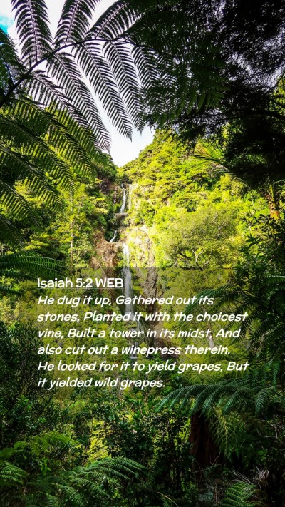 Picture 02 - Isaiah 5:2 WEB Mobile Phone Wallpaper - He dug it up, Gathered out its stones, Planted it - Mobile Bible Verse Wallpaper